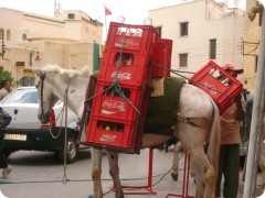 Moroccan Coca
Cola delivery truck